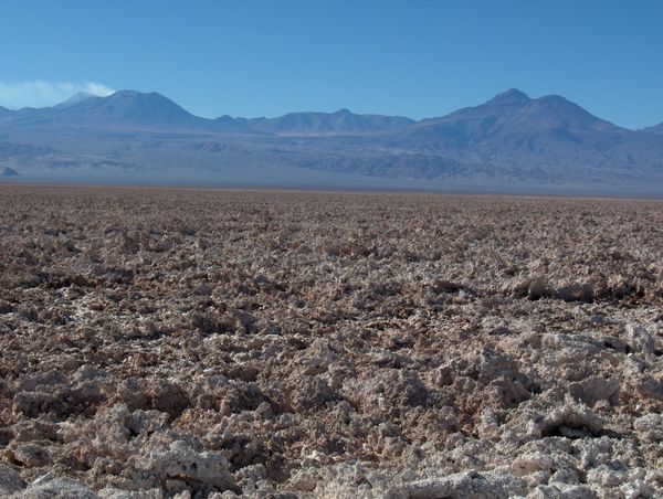Le salar d'Atacama