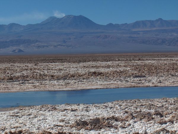 Atacama - Lagunas altiplanicas