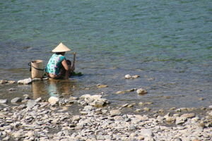 Collecting River Weed