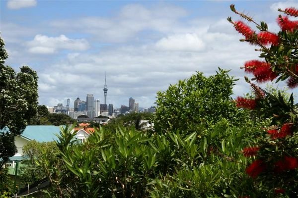 Auckland - from the bottom of North Head