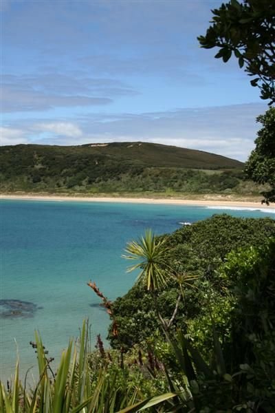 Matai Bay