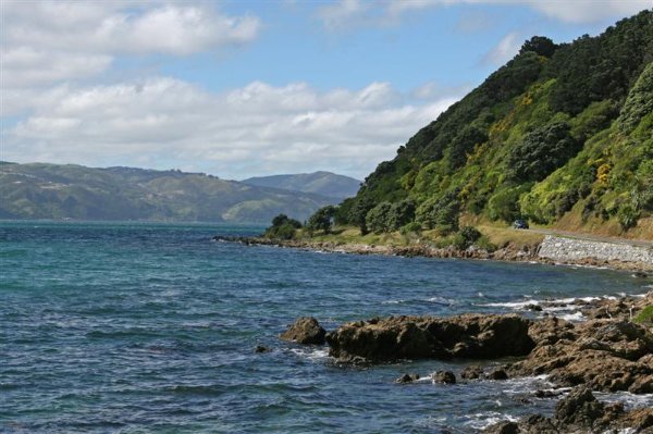 Wellington - Balaena Bay