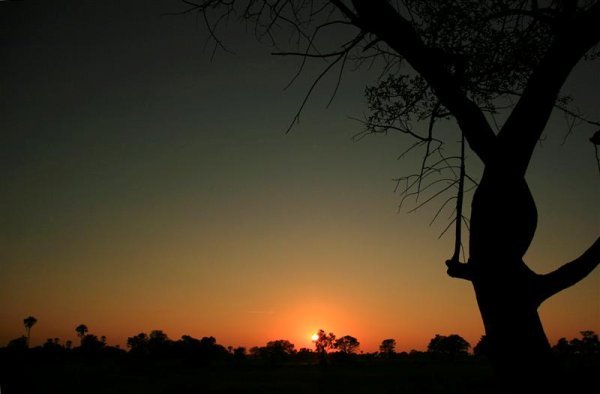 Sunrise over the Okavango