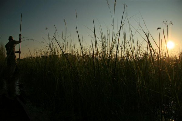 Sunrise in the Okavango