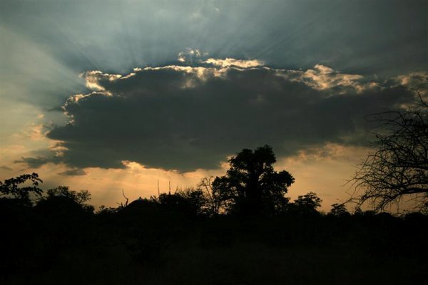 Sunset over the Baobab