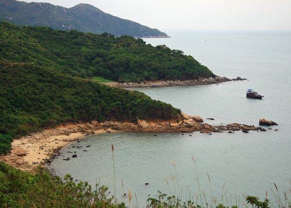 Lamma - Wooded Coves