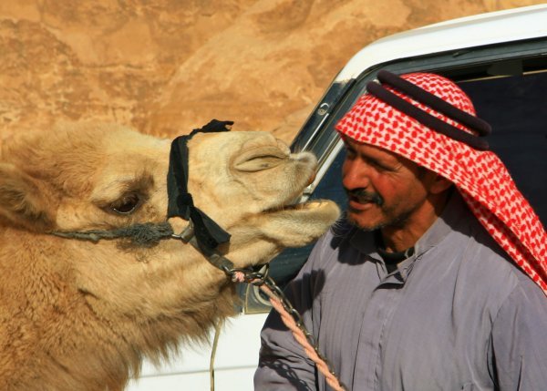 Camel and his Mahmoud