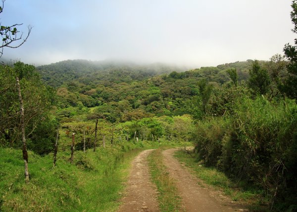 View towards the Cloud Forest