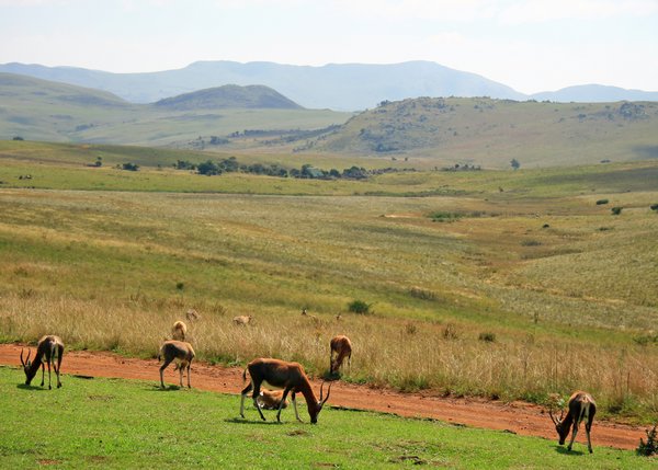 Swaziland Camp Site