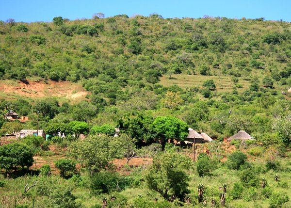Zulu Homestead - in the hills