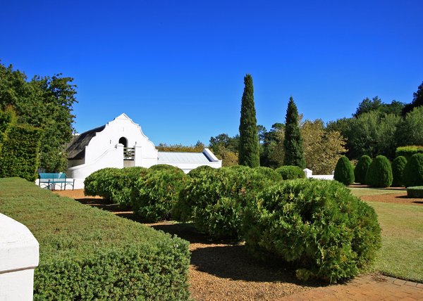 Stellenbosch - Morgenhof Vineyard