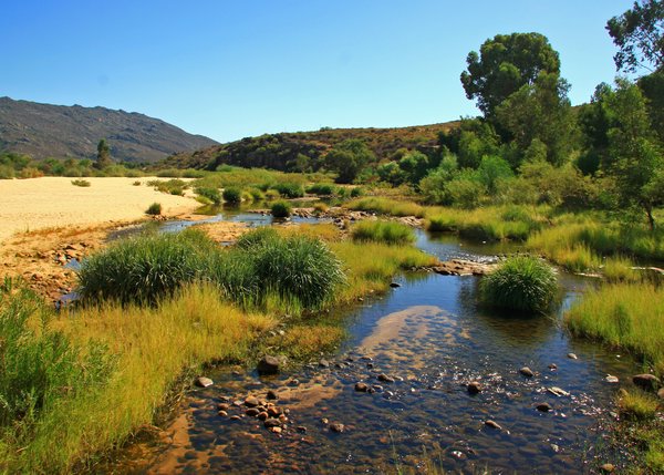 Cedarberg: an oasis in the mountains