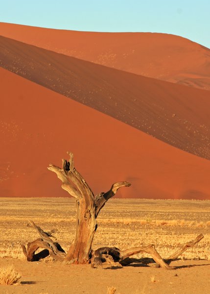 Sossusvlei: The Colours are amazing