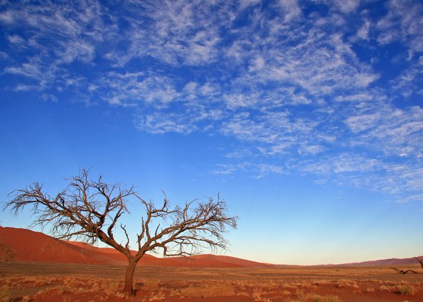 Sossusvlei: Everything is on a Grand Scale