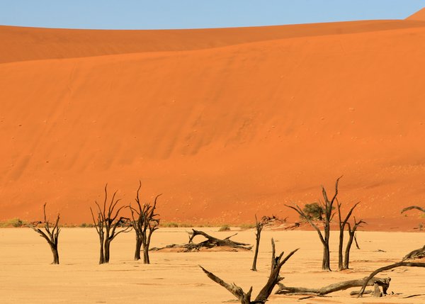 Deadvlei: The dunes blocked off the river's path, hence the paler lake bed
