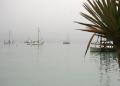 Walvis Bay: Typical Misty Morning