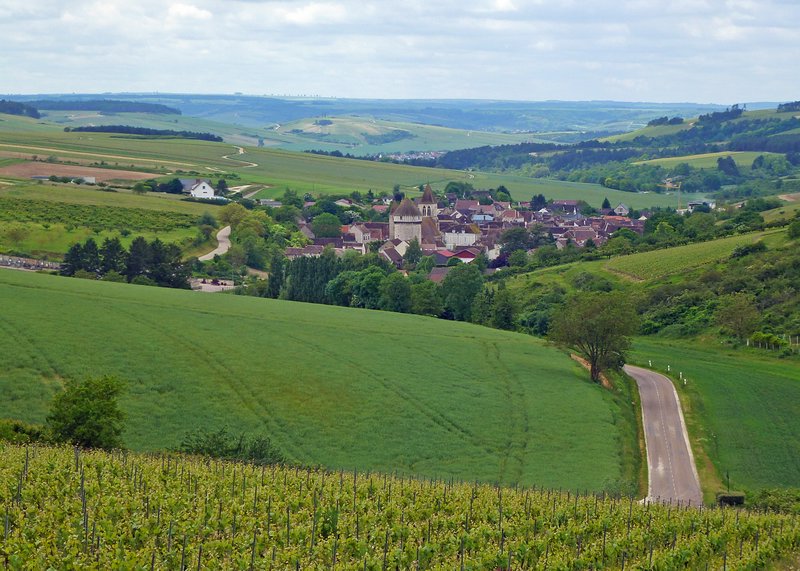 View of the vineyards around Chitry
