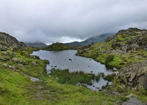 7.21: Haystacks