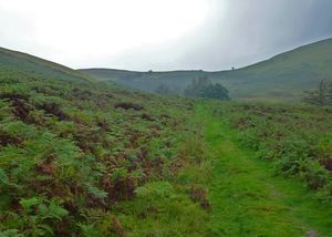 The Drove Road to Low Fell