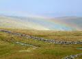 The Rainbow over Red Crag