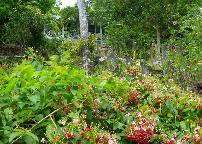 Mamiku Gardens and the Plantation House