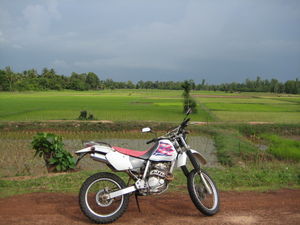 Honda RR 250cc
