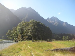 Doubtful Sound - Camping