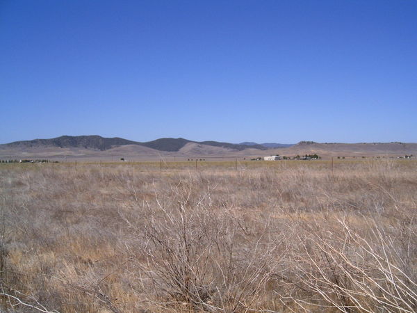 The Carrizo Plain