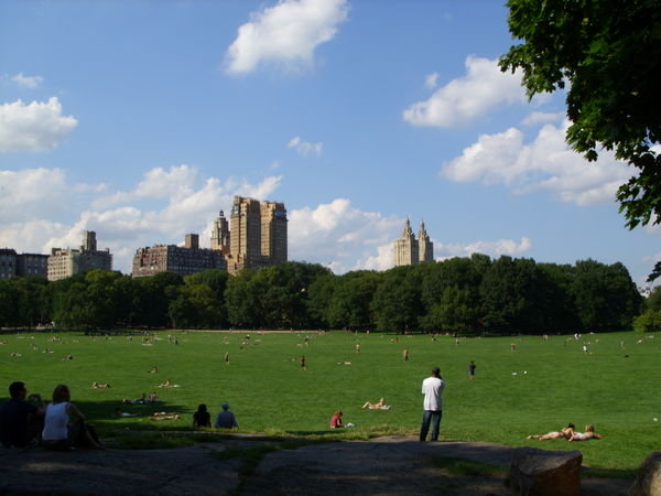 Central Park - quiet area
