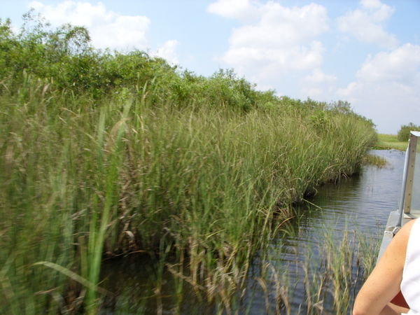 Everglades on the boat