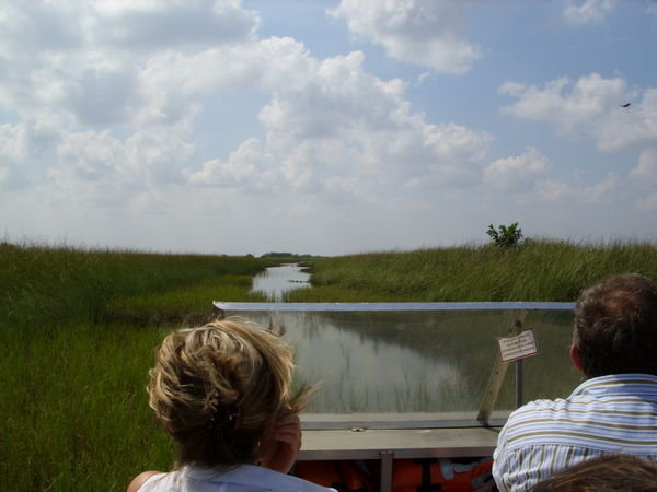 Everglades on the boat 2