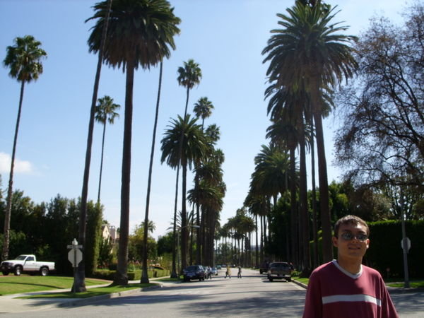 Me and the Palm trees again