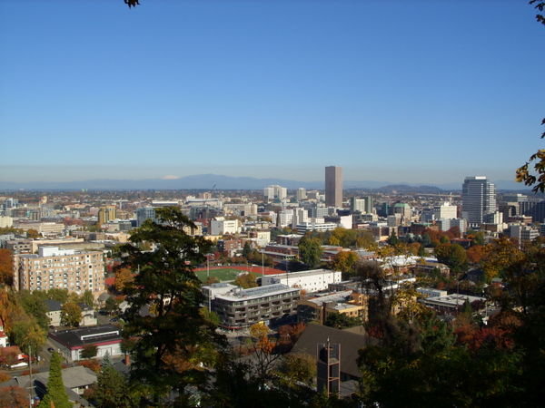 View of the city 2