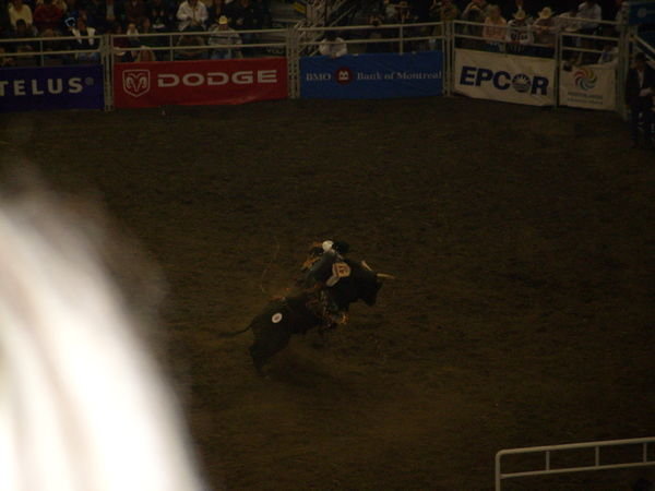 the big one....Bull riding!!