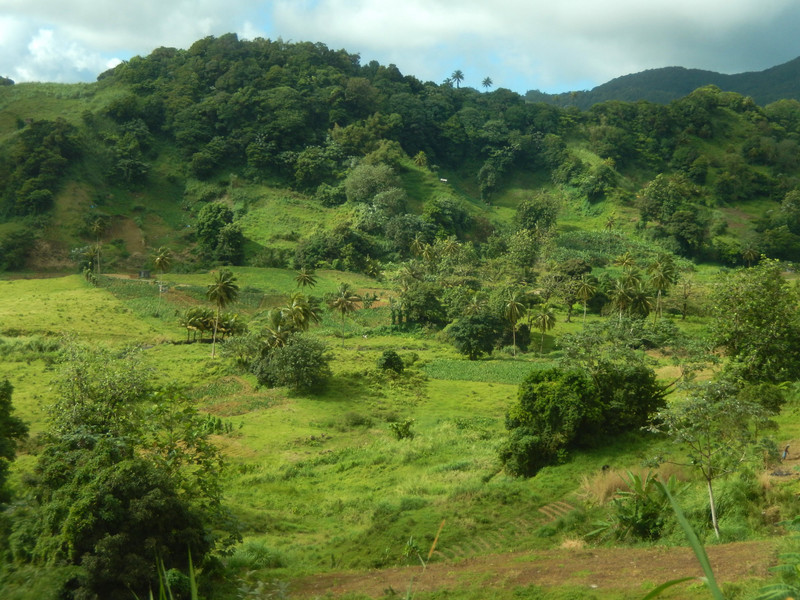 The lush countryside on St Vincent