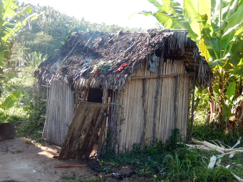 Typical Malagasy village hut