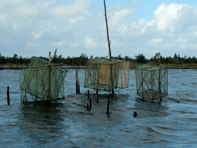 Typical fishing traps in the canals