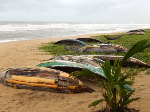 Repairing canoes is a lucrative business