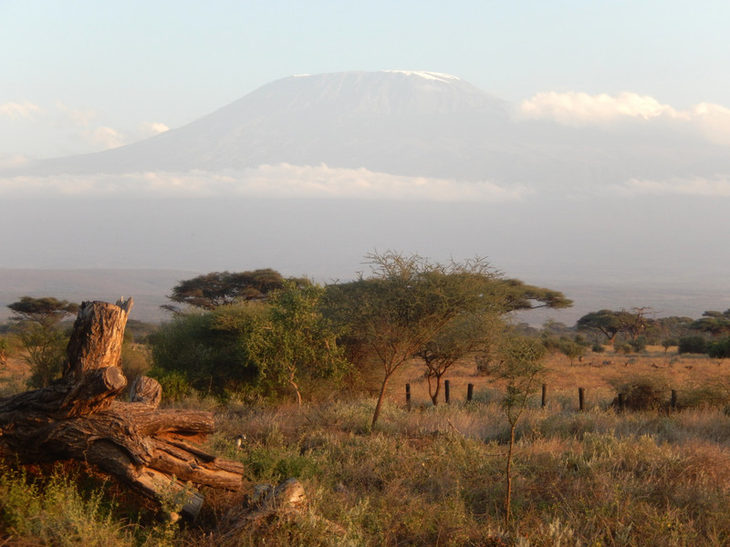 ... looking out onto Mt Kilimanjaro from the back porch