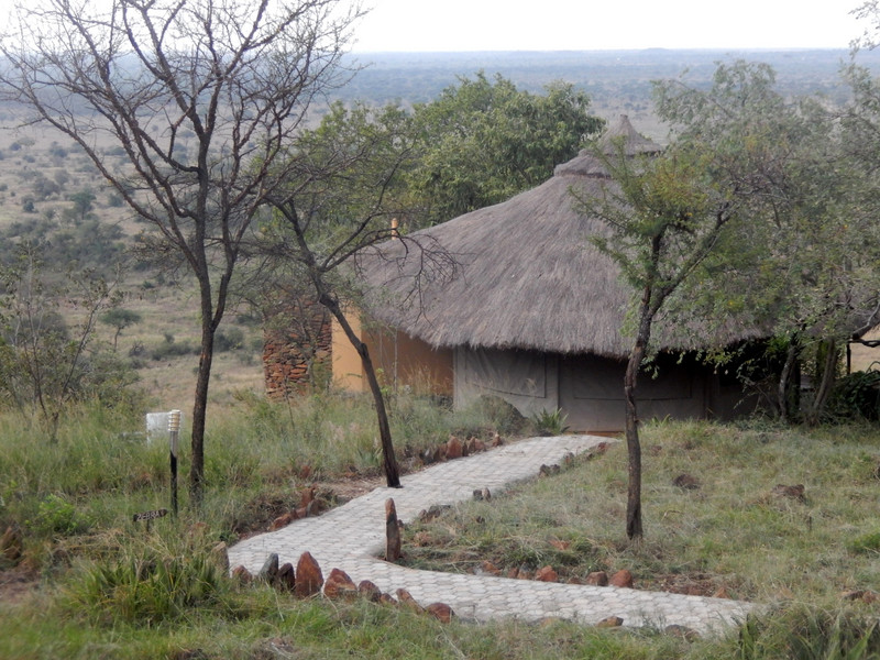 Our accommodation at Serengeti Simba Lodge ...