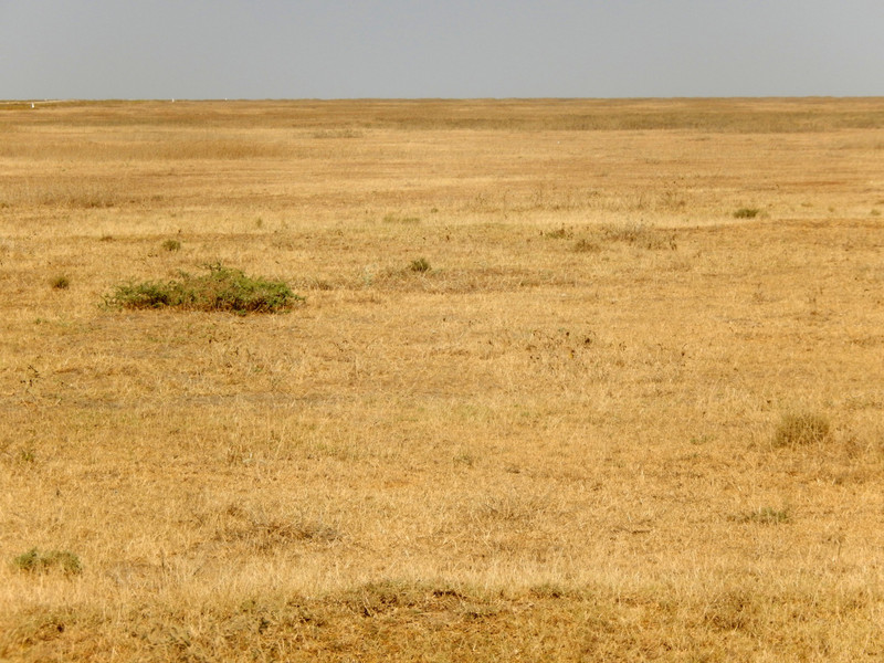 Just a small section of the 'endless plain' of Serengeti