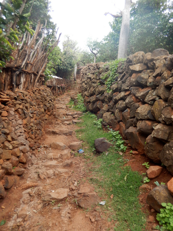 Typical alleyway in the village, with security wall on rhs