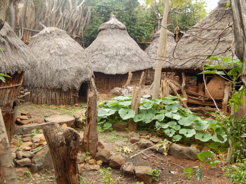 Typical Konso living accommodation