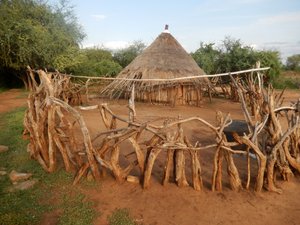 Protecting your hut from any wild animals