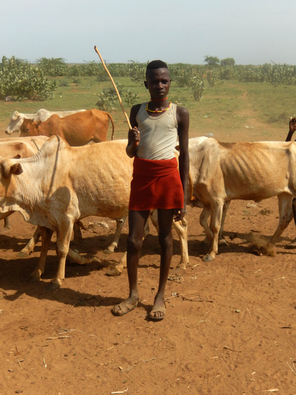 Young herdsman with his cattle