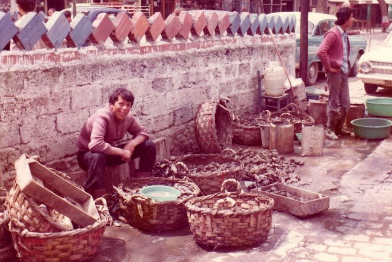 Fish vendors on the Bosphorus