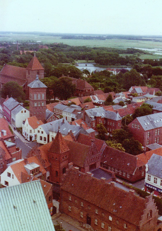 View of Ribe from the Tower of Domkirke