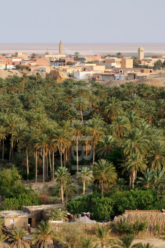 Panoramic view of La Corbeille oasis at Nefta