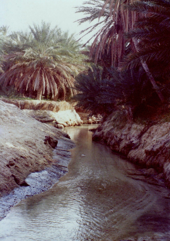 Water supply into the Oasis