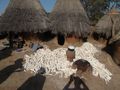 Drying out produce in the Somba village